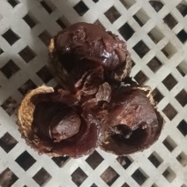 桂味荔枝干