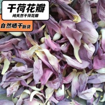 荷花茶油刮脂去干荷花食用荷花叶片干花茶叶花草茶荷花花瓣中药材