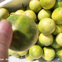 广东精品黄金百香果百香果热带水果大量供应