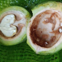 青皮核桃