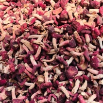 正宗野生红菇深山特产精选红蘑菇菇蕾一斤起批包邮