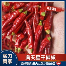 贵州正宗满天星厂家直供产地优势常年有货量大价优