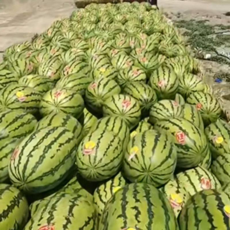 宁夏银川永宁县西瓜 0.40元/公斤宁夏石头西瓜