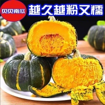 贝贝南瓜一件代发