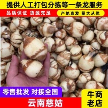 大量现货供应，诚信经营，可视频看货对接全国