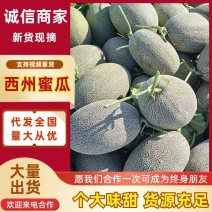 西州蜜瓜民勤哈密瓜产地一手货源，规格齐全，个大味甜发全国