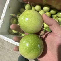 百香果大量上市了，需要对接的找我手上资源多