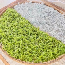 来凤县藤茶恩施藤茶湖北藤茶2025新茶包邮养生茶
