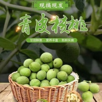 青皮核桃
