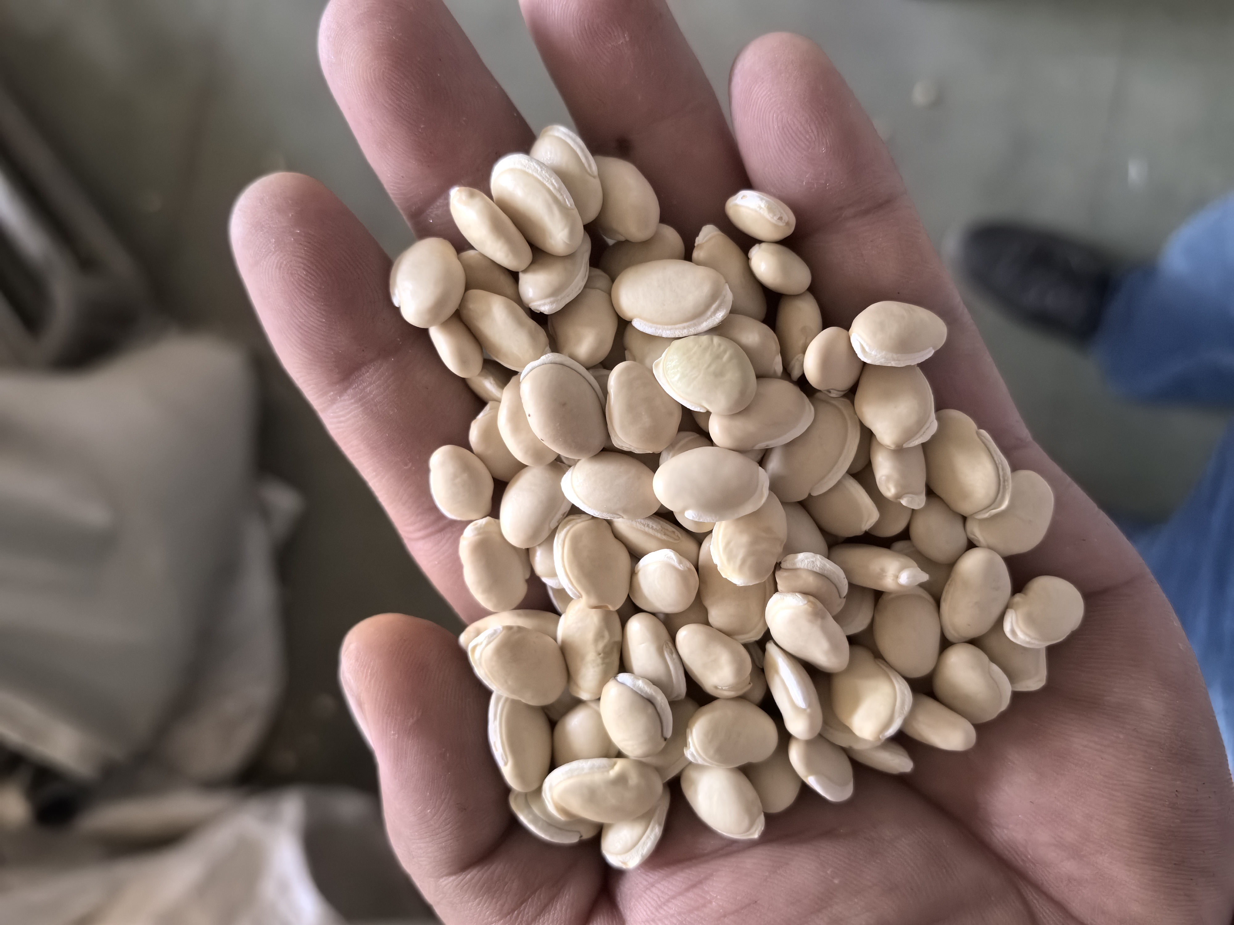 一位成年人正用右手紧握一枚鸡蛋,手部肌肉绷紧表现用力状态,鸡蛋仍保持完整,背景模糊显示厨房环境,强调‘捏而不碎’的视觉反差 一个人正在用手捏鸡蛋的慢动作场景