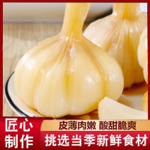 【腌蒜】糖蒜，当季新蒜，农家自制，欢迎下单