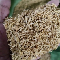 陕西地区精品打包袋装稻壳