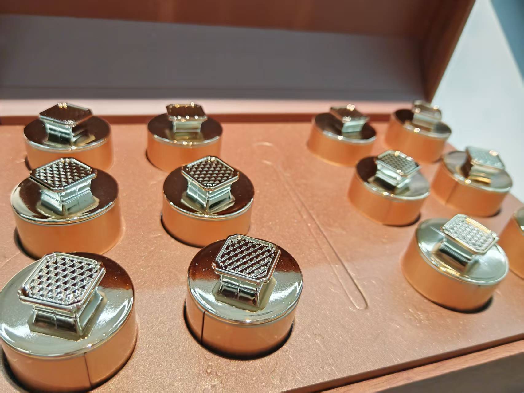 玻璃展台上陈列多种含熟地黄提取物的国际产品:胶囊、口服液、护肤精华、保健茶包,包装采用英文标签,标注‘Anti-aging’, ‘Immune Support’, ‘Natural Tonic’等字样,背景为全球化城市剪影 熟地黄提取物在国际市场的产品形态展示