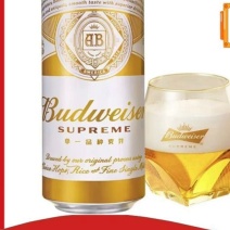 【百威啤酒金尊500ml18瓶】百威金尊经典黄啤聚餐酒吧整箱