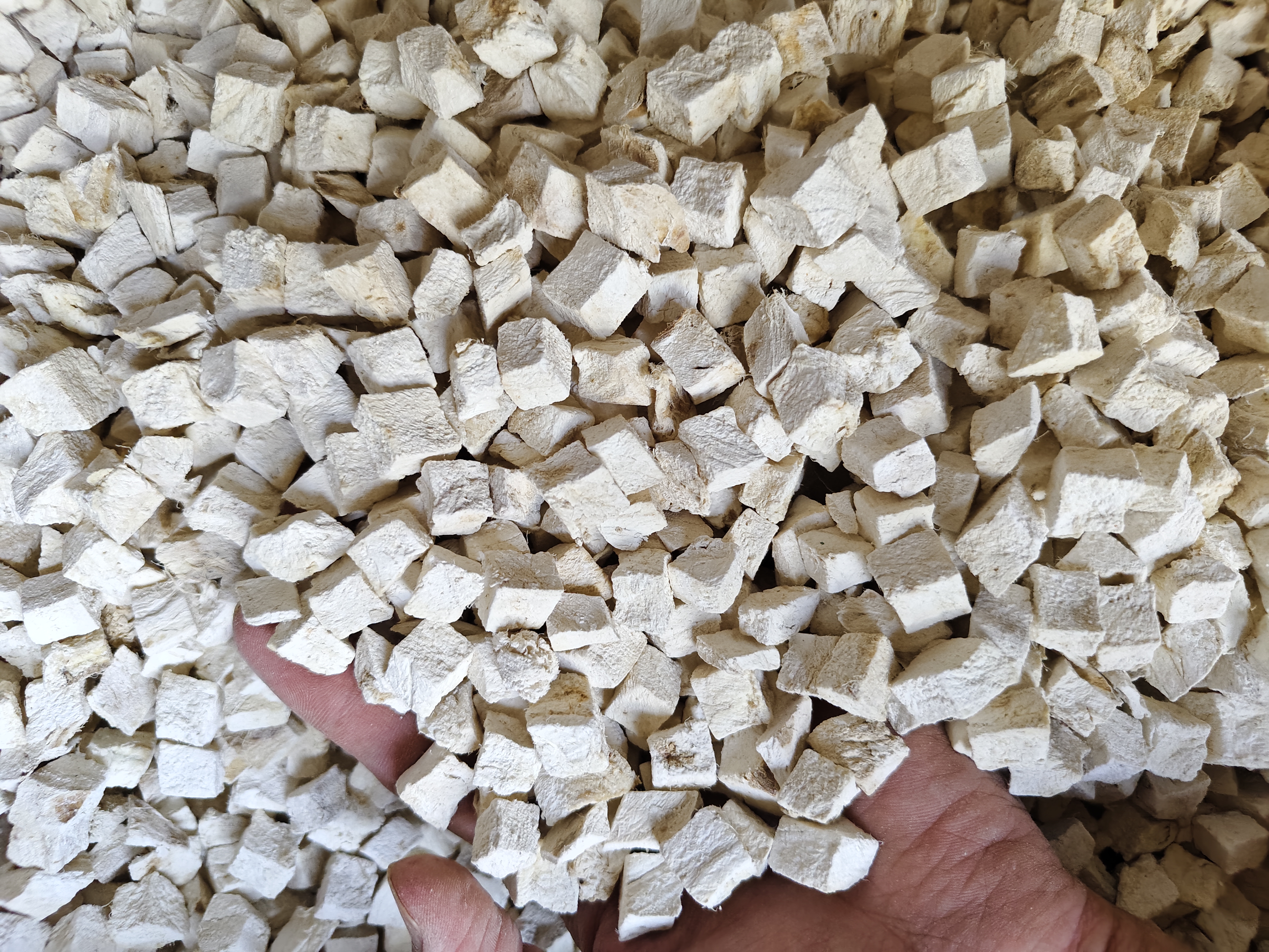 中医师正在切片处理葛根药材