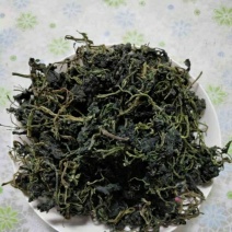 批发特级野生干灰灰菜宾馆酒店专用野菜250g/500g干菜脱