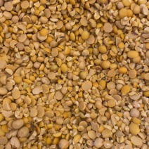 碎黄豆瓣什么规格都有