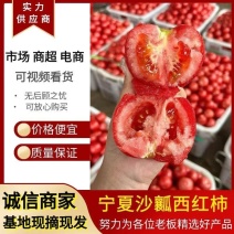 【推荐】西红柿硬粉西红柿果型好硬度口感佳高耐运输