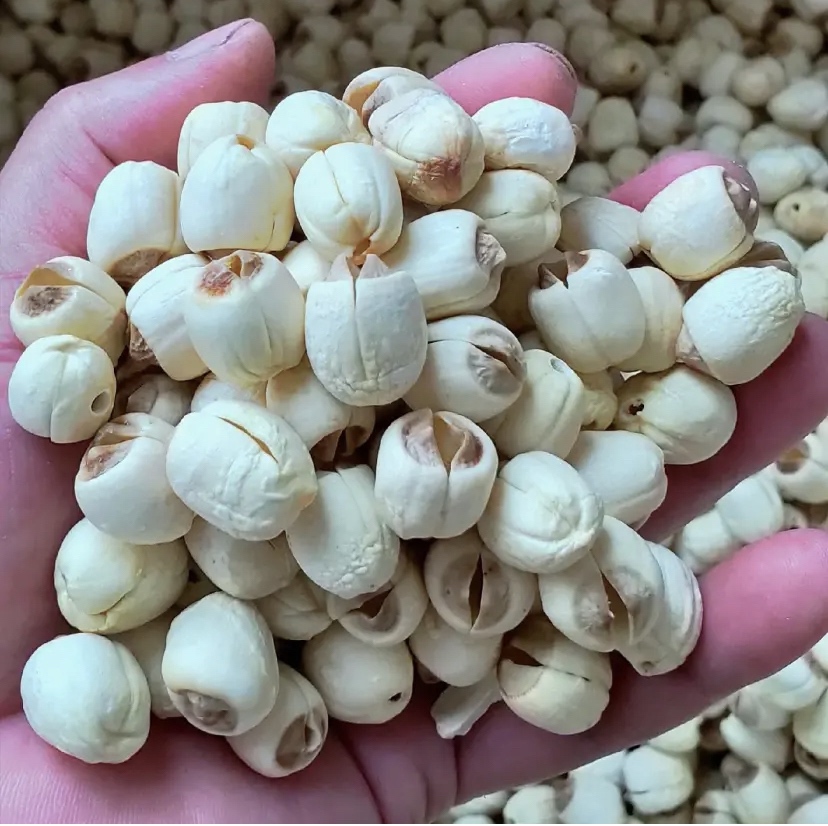 手工剥制湘莲场景