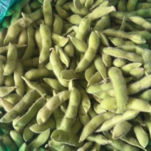 江苏毛豆精品毛豆货源充足，代收代发品质保证，视频看货