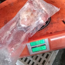 一级二级鸽子都有