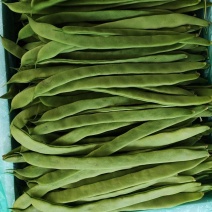 大扁大量上市