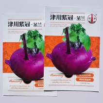丕兰种子津川紫冠水果苤蓝菜种子紫苤兰种子天津苤蓝大头菜种