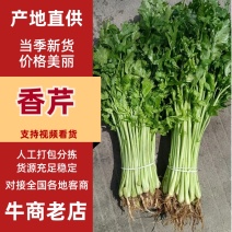 【精品】新鲜脆嫩香芹，现摘，绿色青菜，量大可优惠