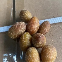甘草橄榄爽脆甘，肉厚核小