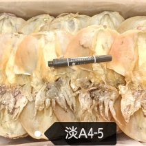 半淡墨鱼干4-5个一斤，产地直销，货量足。