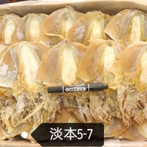轻盐墨鱼干5-7个1斤，