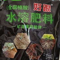 腐植酸水溶肥好跟生根养根护根改梁土壤使用后12小时根系
