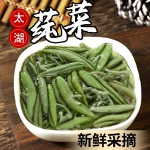 苏州太湖新鲜莼菜350克嫩芽野菜西湖莼菜纯菜