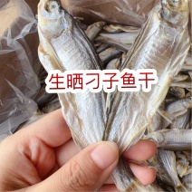 生晒刁子鱼干展会地摊电商批发开肚白条鱼干餐条鱼干翘嘴鱼干