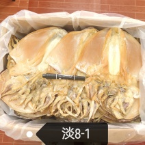 特大墨鱼8-1