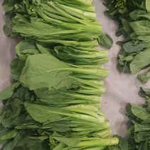 菜心
