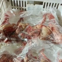 冻品鸽子