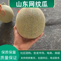 山东潍坊网纹瓜精品货通货电商货，货源充足，可视频看