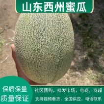 西州蜜，晓蜜25号哈蜜瓜产地供应，保质保量，可视频看货