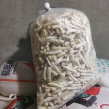 2025新货长裙竹荪