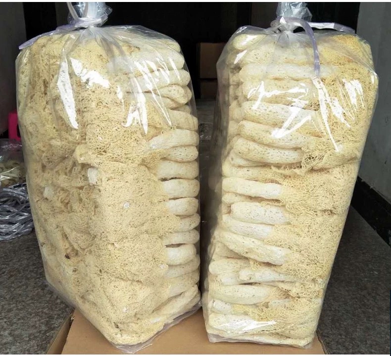 长裙竹荪与其他食用菌营养对比图