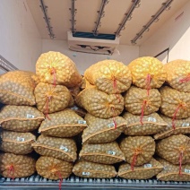 纯辽系去皮鲜核桃，各种规格都有，质量保证，按需分拣