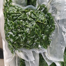 碱蓬菜黄须菜速冻加工