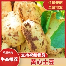 精品河北围场土豆，沃土v7实验一等，新鲜上市产地现挖现卖
