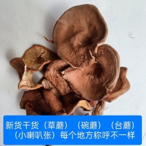 野生草蘑喇叭蘑酒盅蘑去根净重新货东北特产台蘑碗蘑产地批发