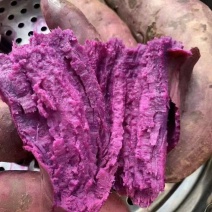 紫罗兰红薯，各种规格，万亩基地，承接各大平台市场电商