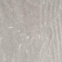 油菜籽