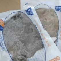 鲜冻多宝鱼