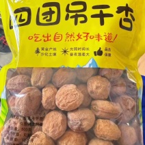 新疆四团吊干杏杏干颗颗金黄饱满***