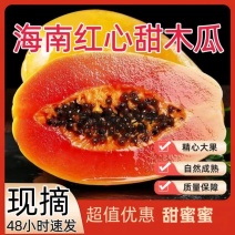 海南红心木瓜批发全国发货！全年有货，三亚直发！